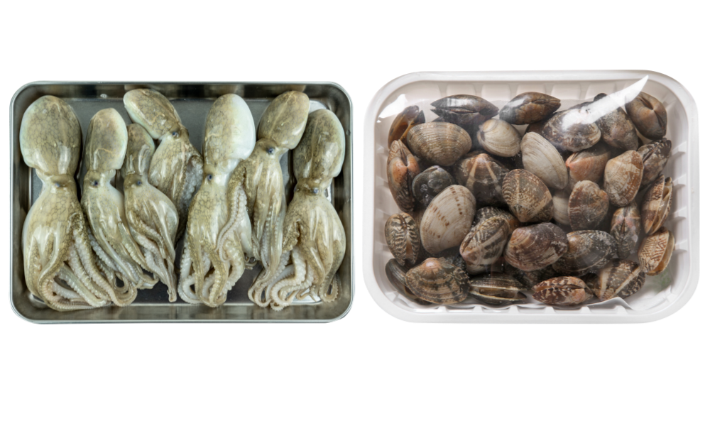 주꾸미와 바지락이 놓여 있는 모습