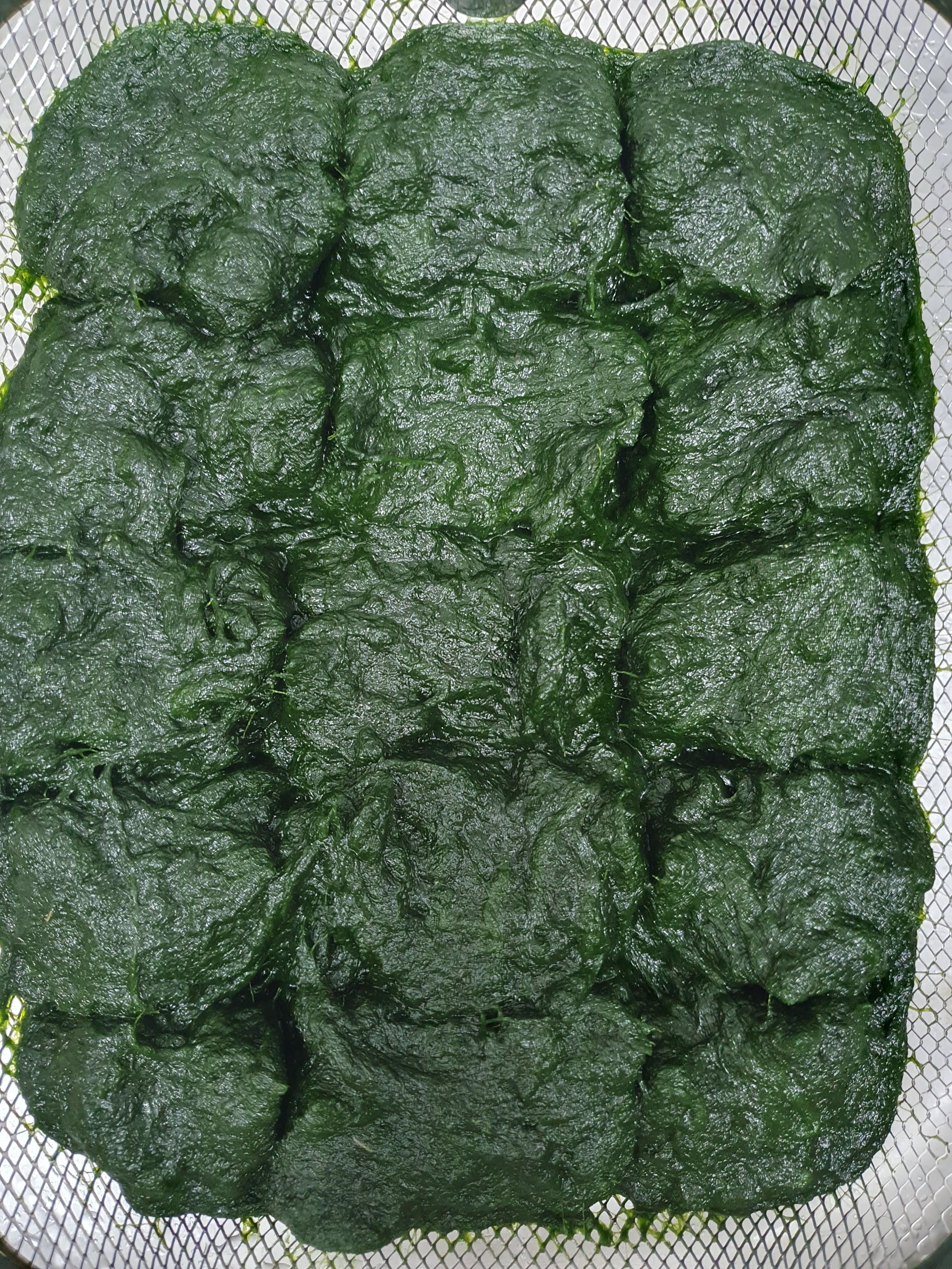 매생이전 매생이부침개