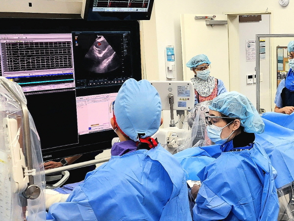 부정맥-심방세동-펄스장-절제술-시술-비용-병원-명의