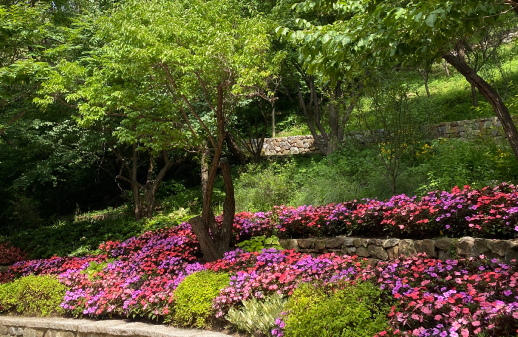 화담숲 예약, 모노레일 예약 (온라인 간편예약)