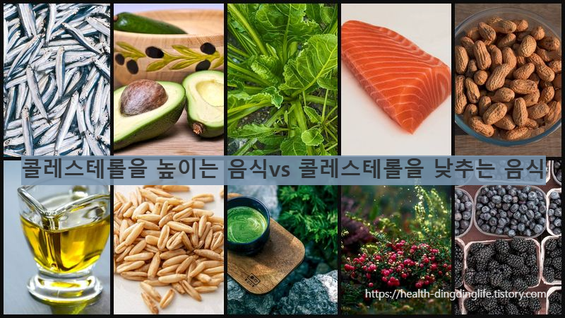 콜레스테롤을 높이는 음식 vs 낮추는 음식/ 출처 - nofat.kr