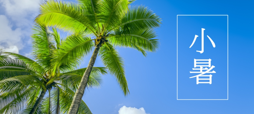 계절의 변화를 세분화한 24 절기 중 '소서' 이해하기