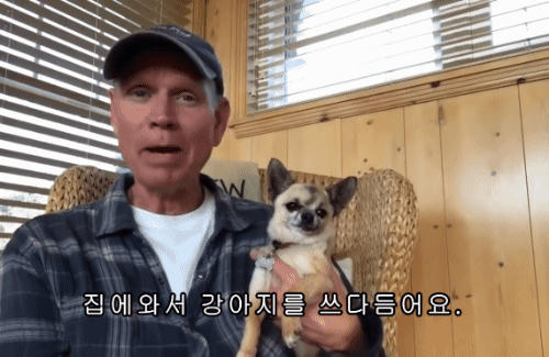 짧은 유머