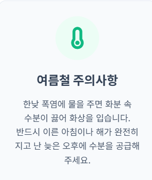 블루베리 키우기