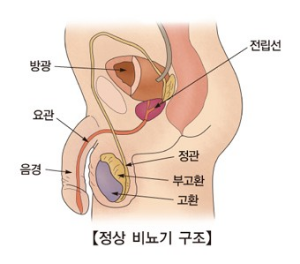 무료보청기 신청