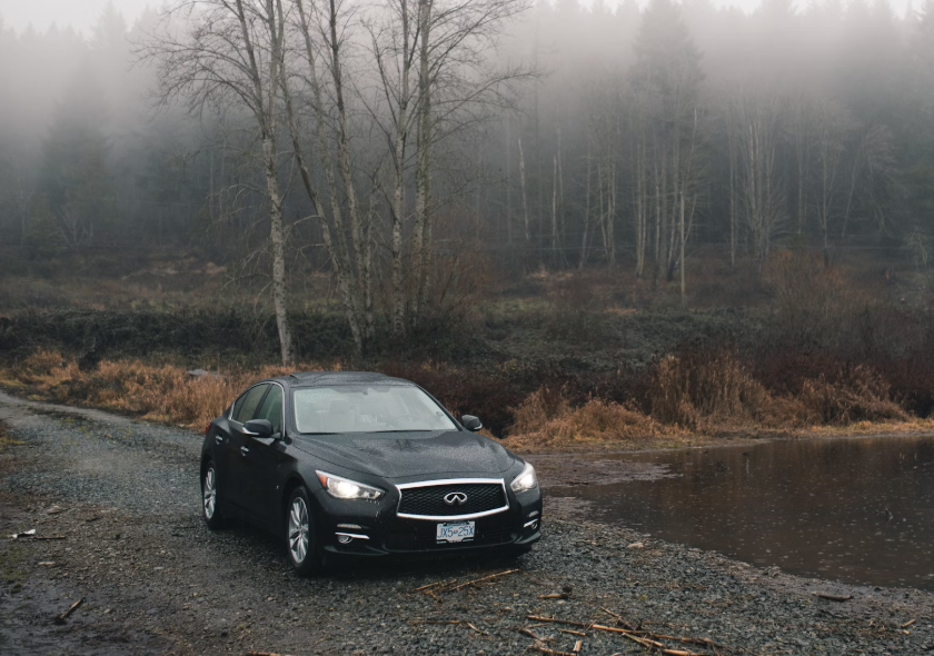 숲속의 인피니티 자동차