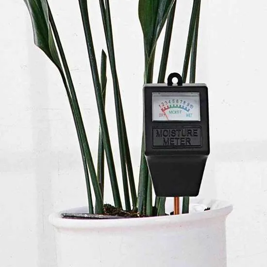 토양수분 측정 수분계사용법 손가락체크 물주기시기 헷갈림 해결_4