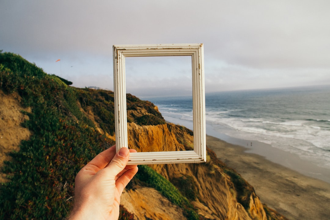 Frame