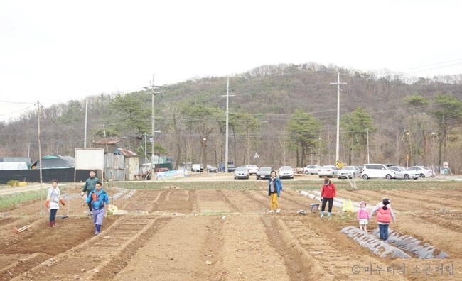 주말농장 시작/ 밭갈이 거름주기, 주말농장 준비물, 주말농장 분양