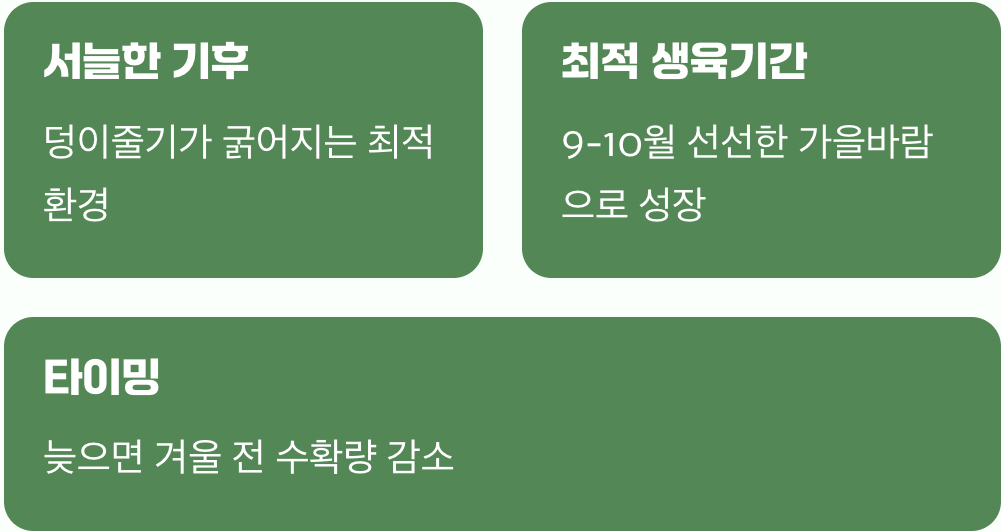 왜 하필 &amp;#39;8월&amp;#39;일까?