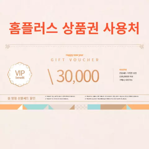 홈플러스 상품권 사용처
