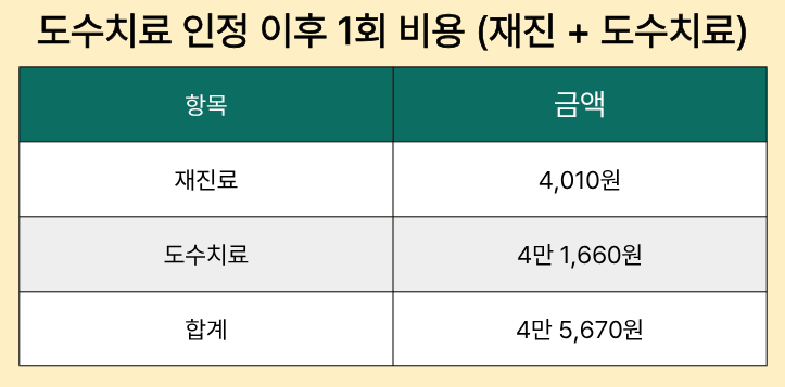 도수치료 인정 이후 1회 비용