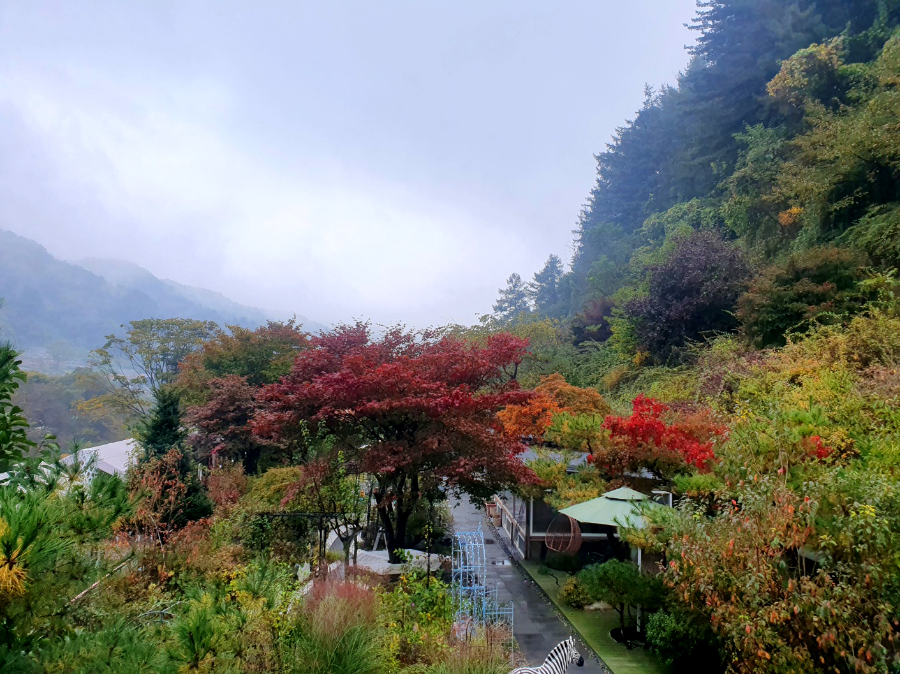 가평 타샤의정원251