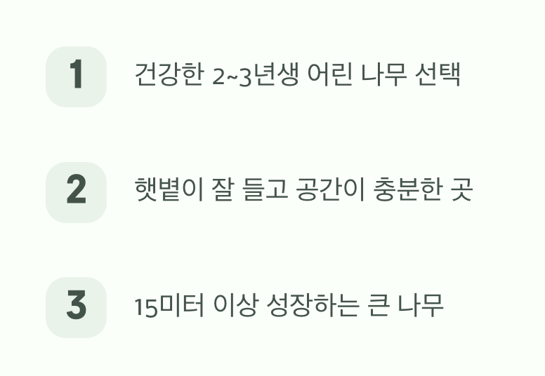 첫 단추: 햇살과 넓은 공간