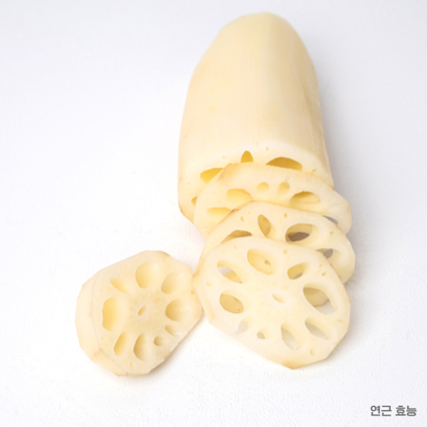 연근 효능│연근 효능과 부작용 알고 드세요!