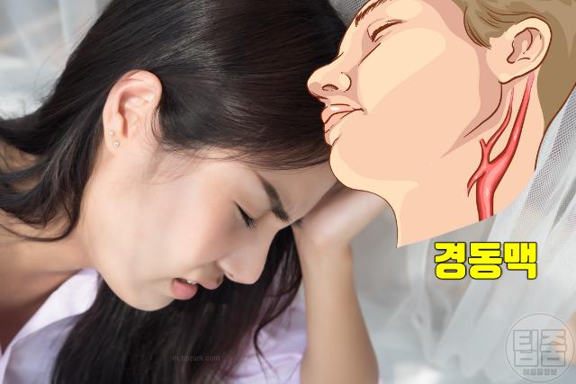 동맥경화 초기증상 어지럼증 기억력저하
