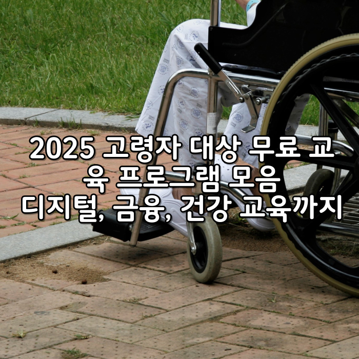 2025 고령자 대상 무료 교육 프로그램 모음｜디지털, 금융, 건강 교육까지