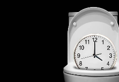 규칙적인 배변 습관