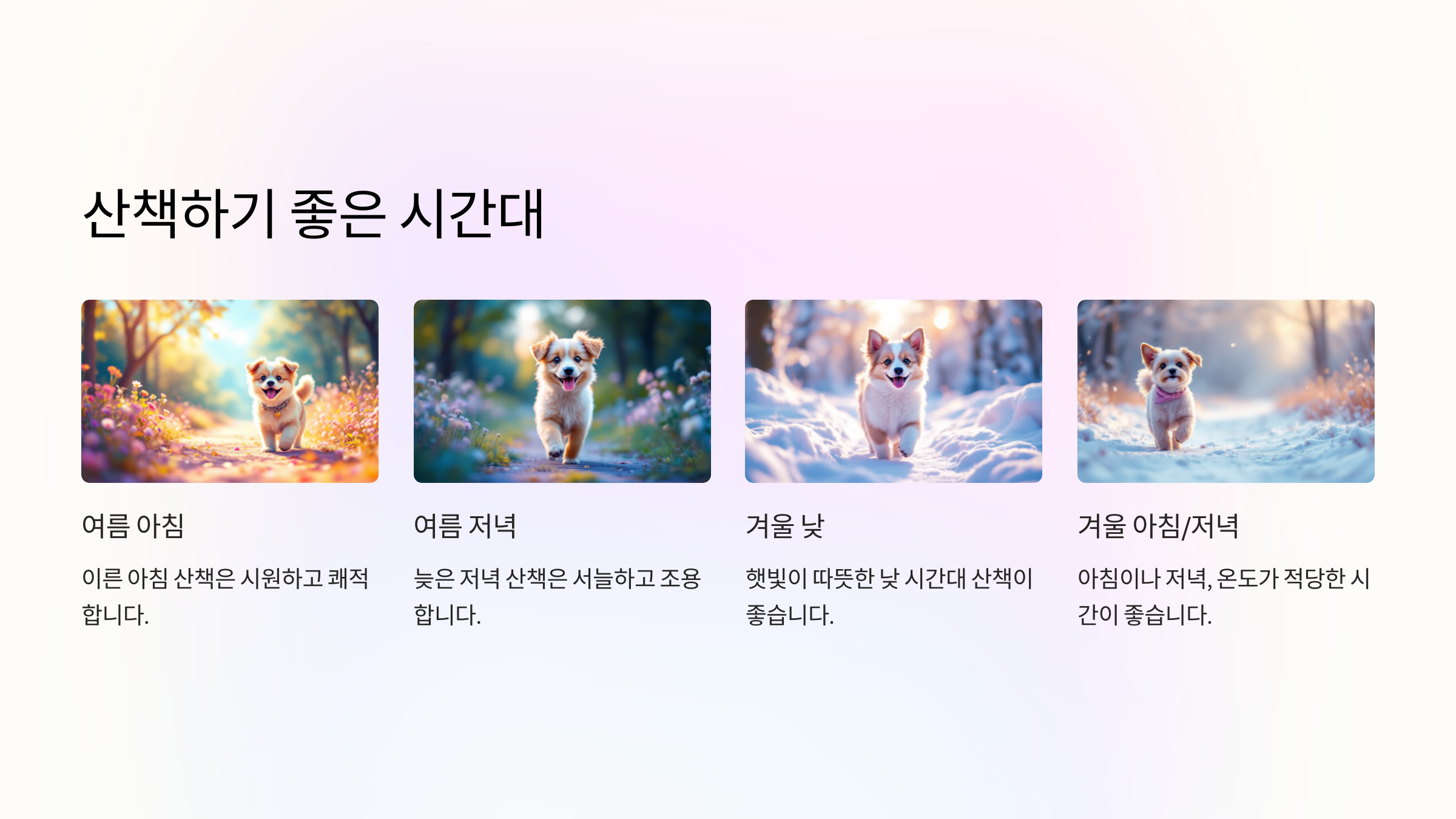 산책하기 좋은 시간대