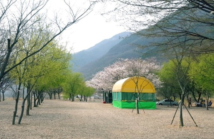 아이비캠프_사이트