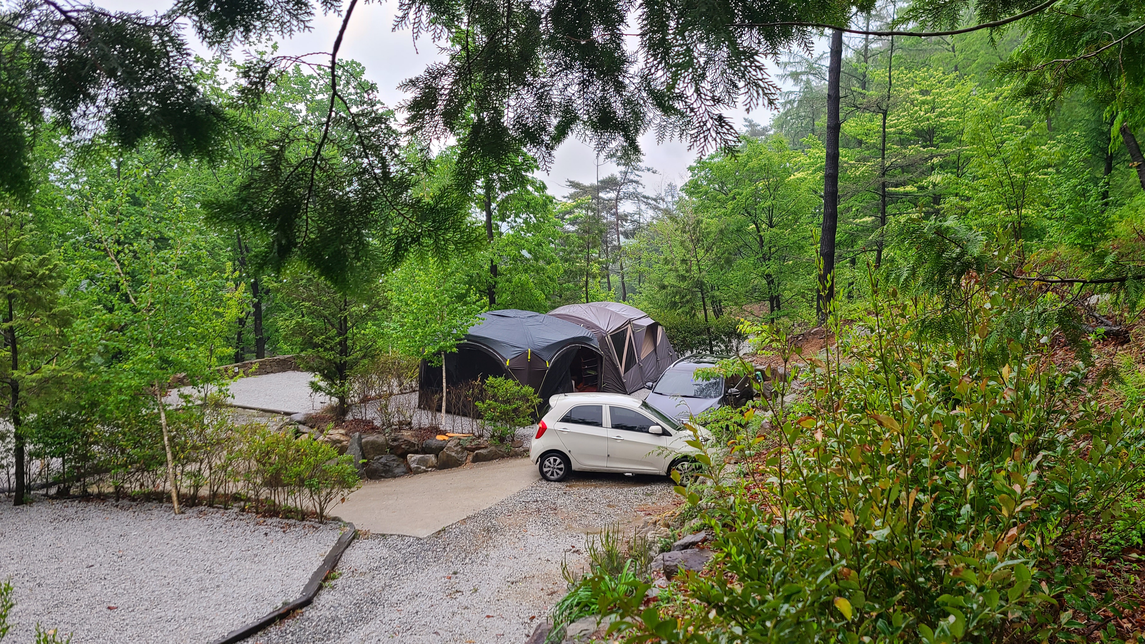 산중 숲속 오토캠핑장