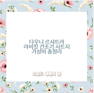 다우니 르샤트라 라비킷 건조기 시트지 가성비 총정리