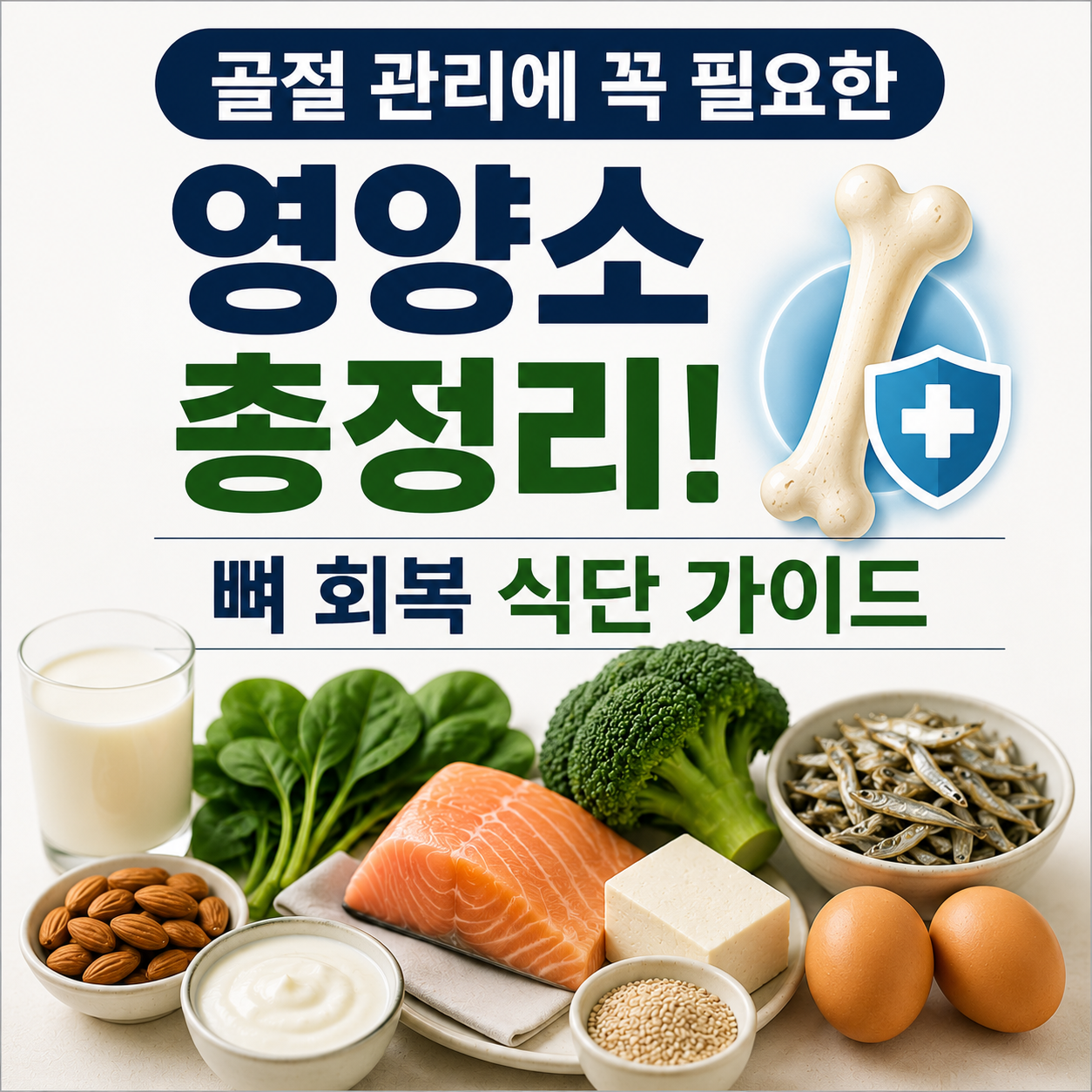 골절 관리
