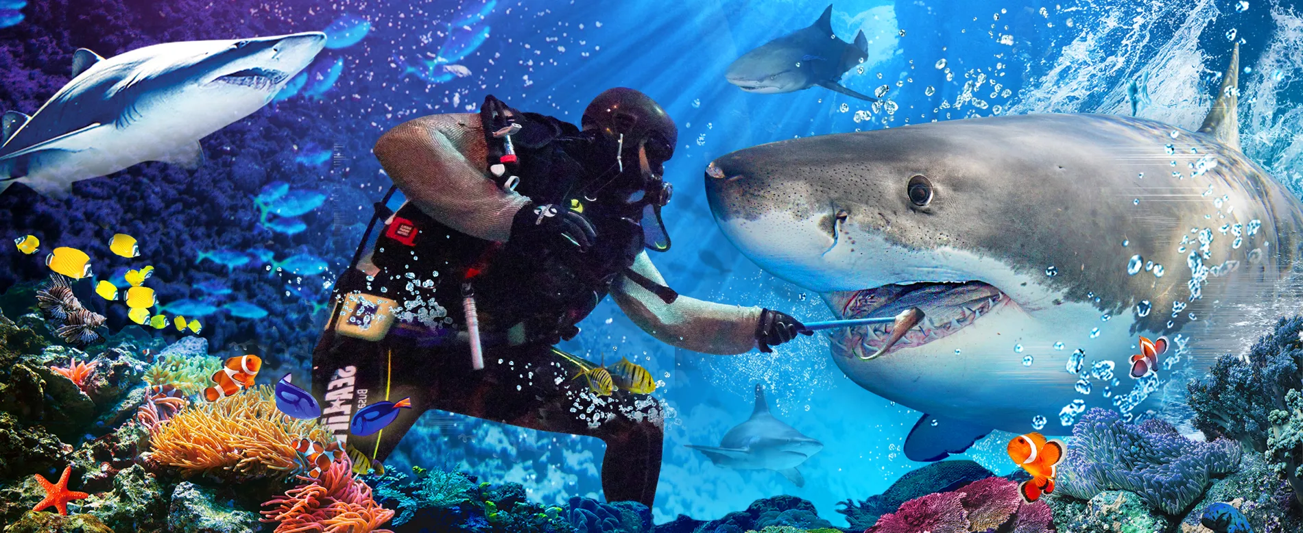 부산아쿠아리움