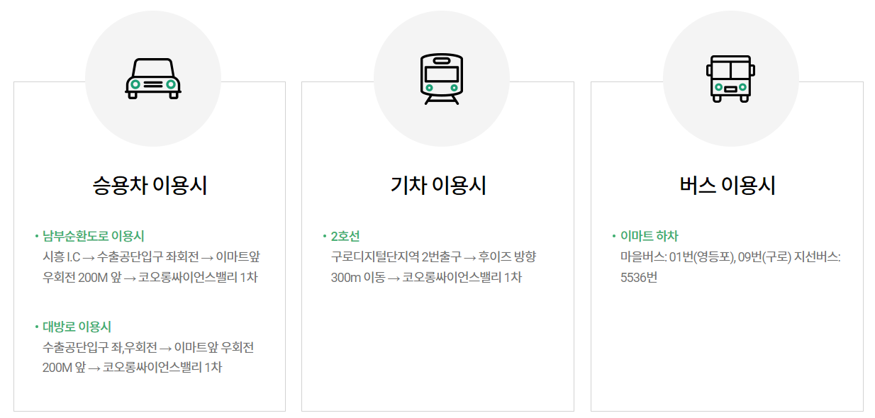 태백 해바라기축제