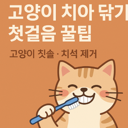 고양이 칫솔부터 치석 제거까지! 초보 집사를 위한 양치 가이드
