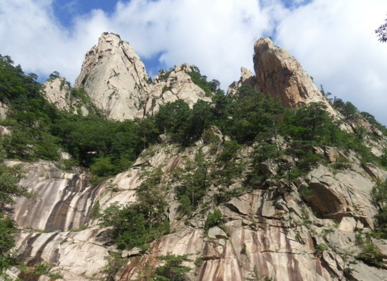 설악산 단풍 절정 시기 시즌 2024, 단풍빵도 꼭 먹고 오세요! (+ 명소 코스 추천)