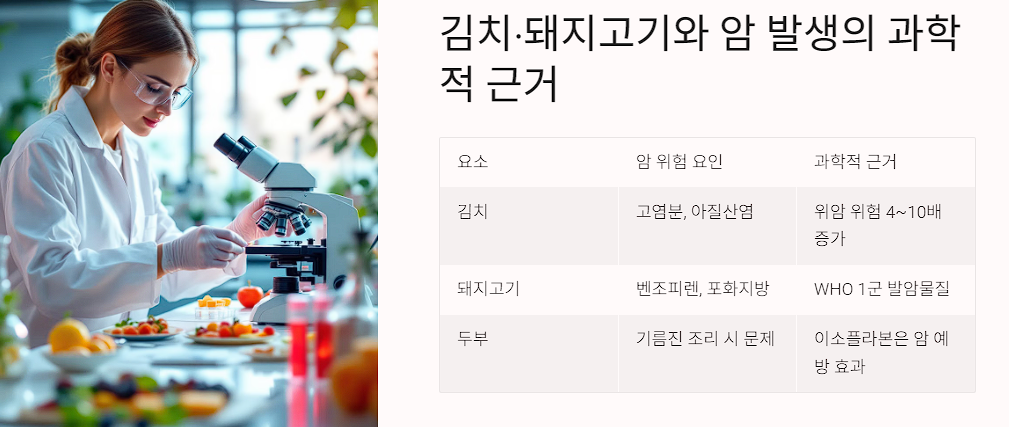 김치·돼지고기와 암 발생의 과학적 근거