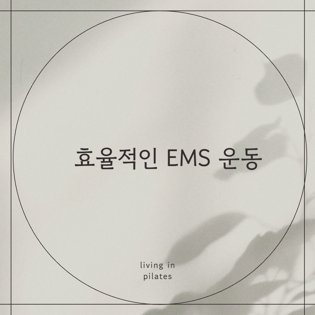 효율적인 EMS 운동