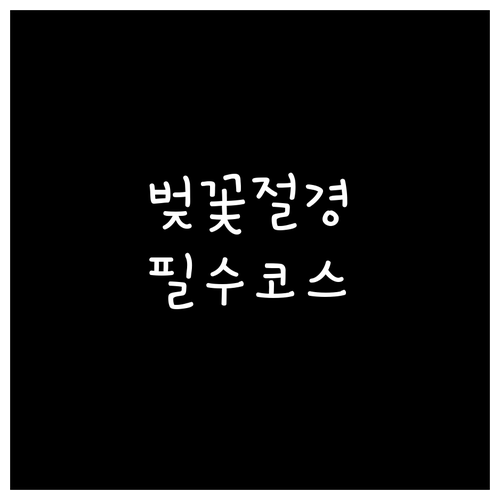 옥정호 벚꽃 개화 시기 및 임실치즈테..