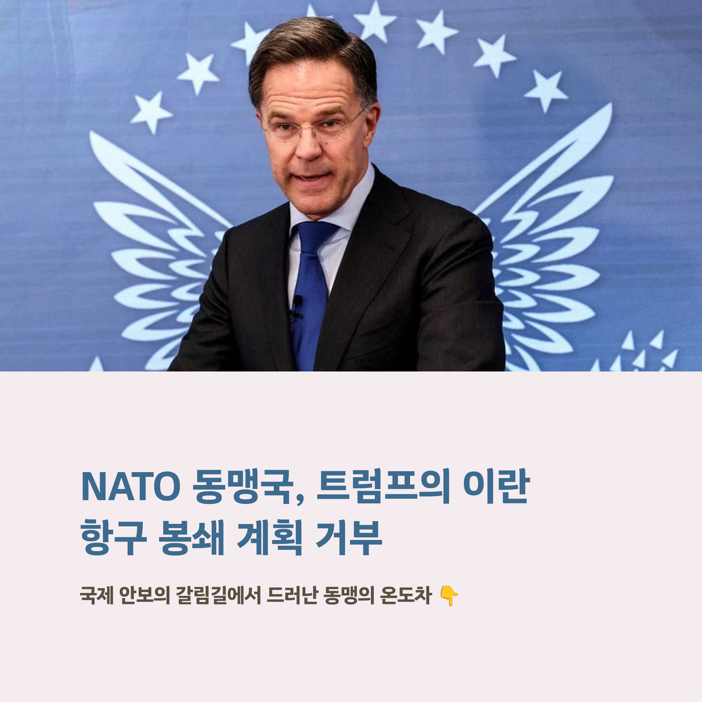 NATO 동맹국