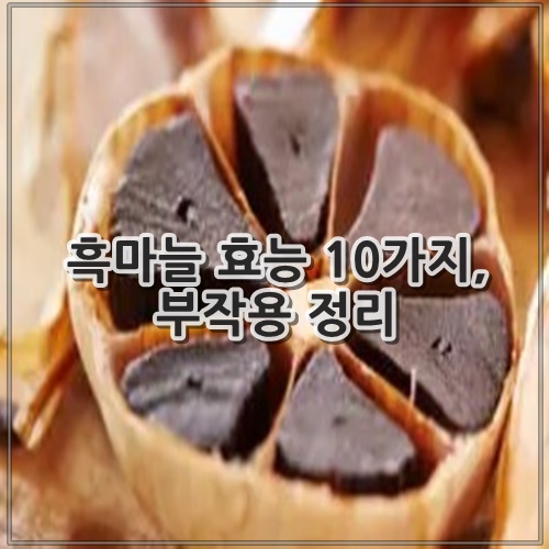 흑마늘 효능 10가지, 부작용 정리