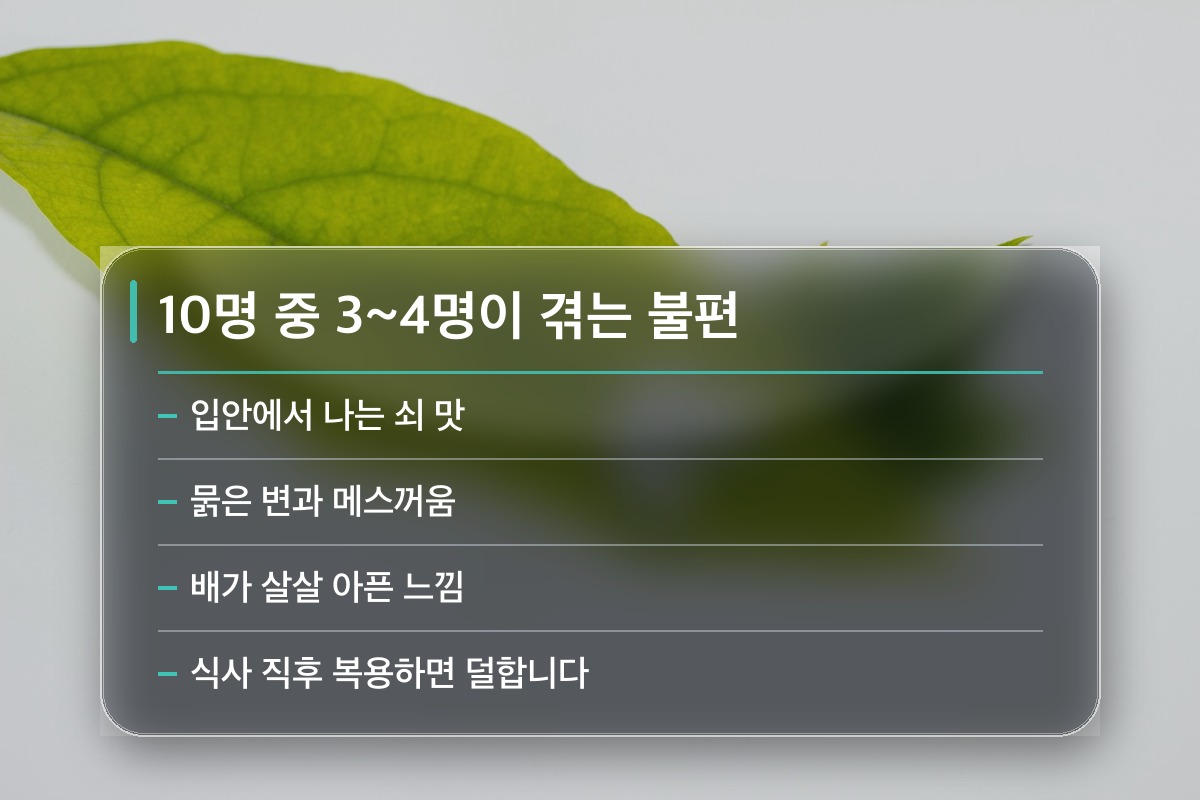 헬리코박터 제균 치료 약 먹는 2주가 사실 제일 힘듭니다