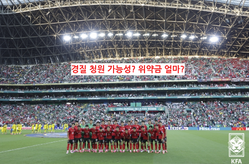 홍명보 경질 국민청원 가능성 및 남아공전 패배 후폭풍 기자회견 사진