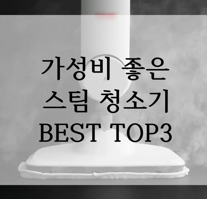 가성비 좋은 고온 스팀 청소기