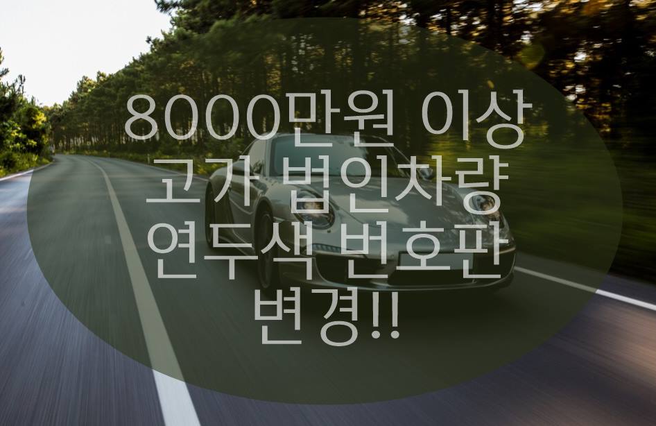 연두색 번호판 법인차