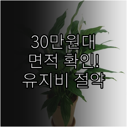 30만원대 공기청정기 적정 청정 면적..