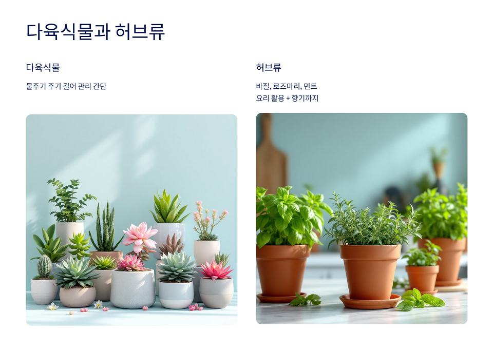 다육식물과 허브