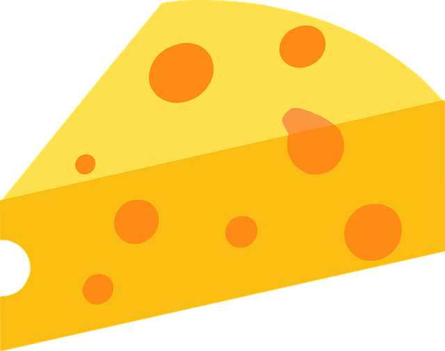 스위스의 치즈 공장 투어: 알프스에서 만들어지는 전통 치즈