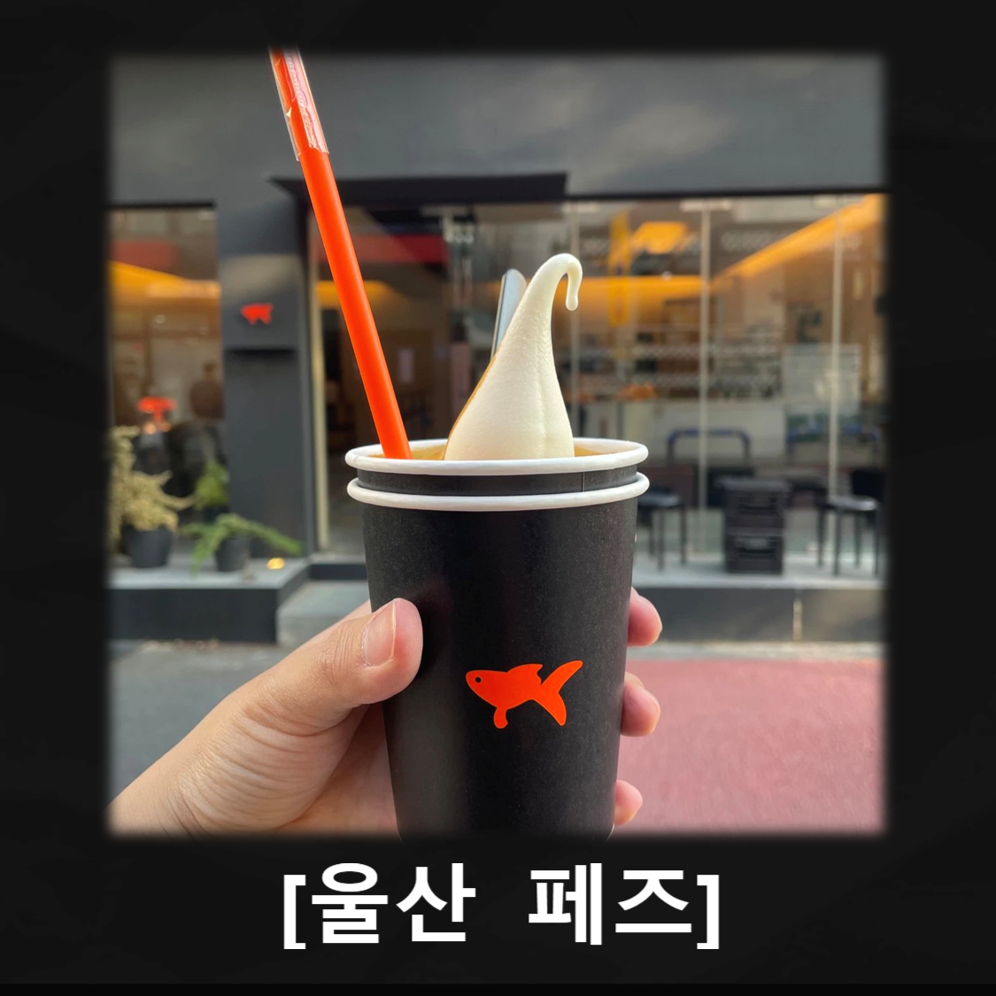 울산 달동, 삼산동 비건 베이커리 맛집 페즈