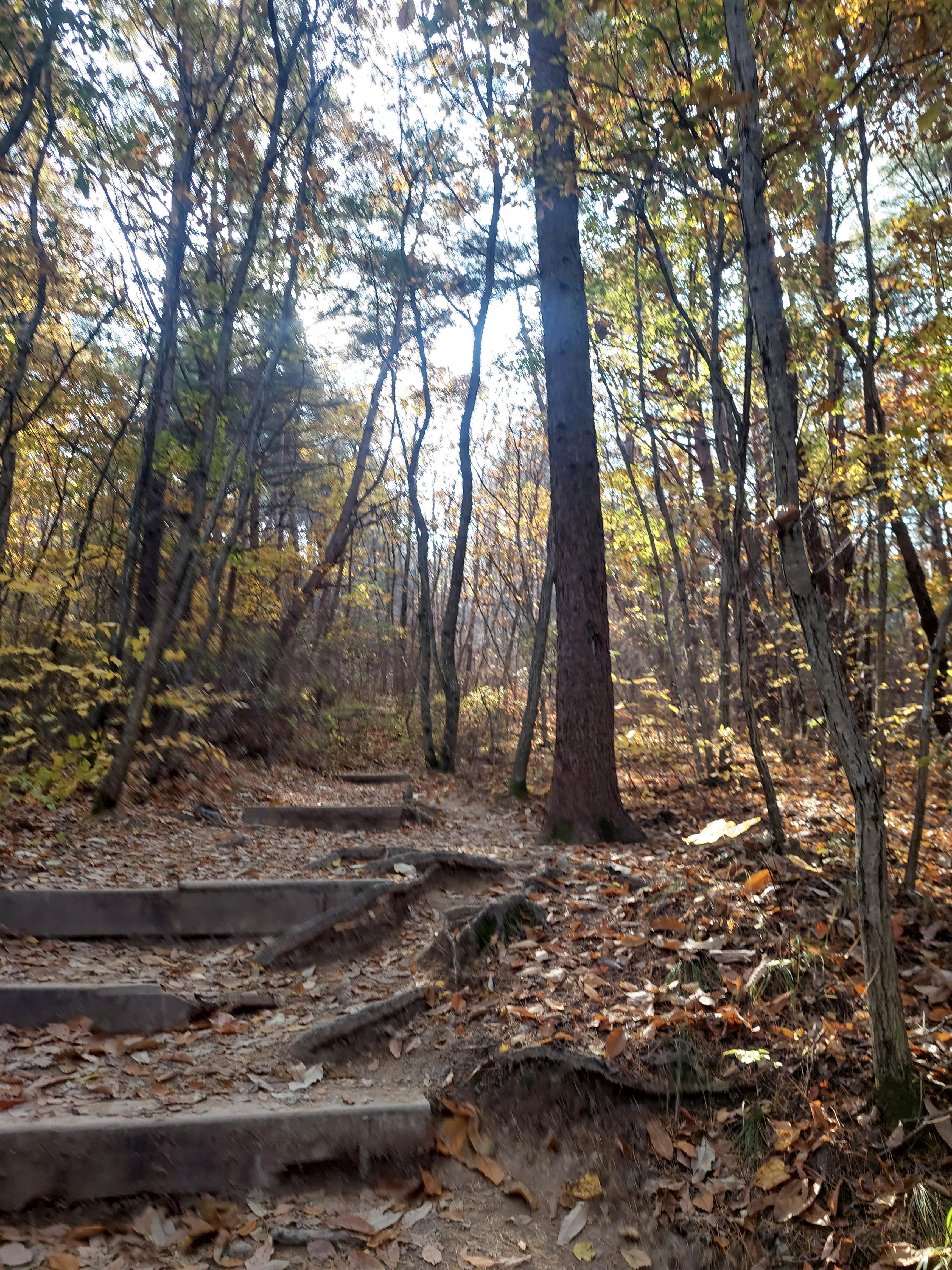 주왕산