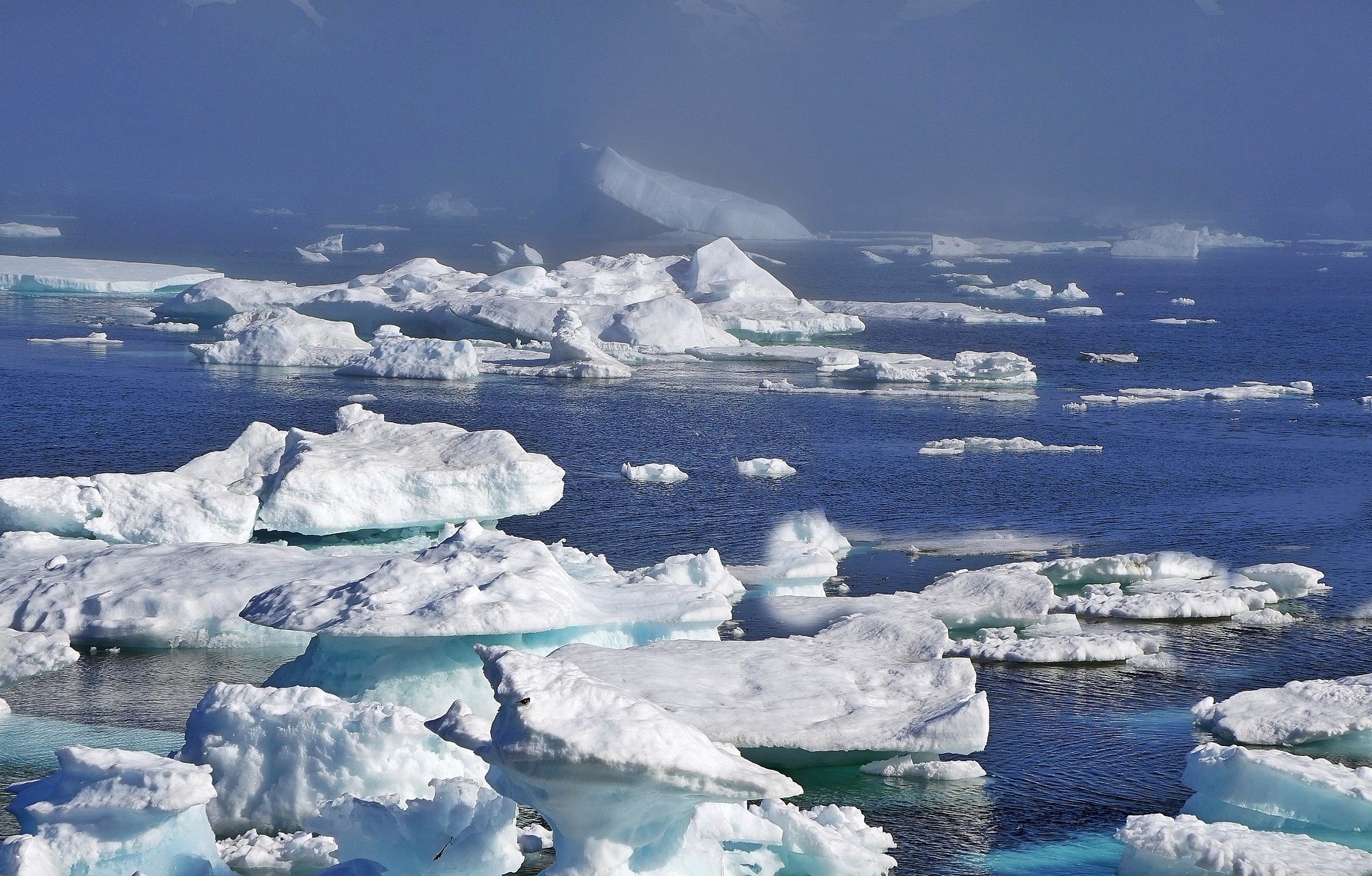 덴마크는 왜 그린란드를 쉽게 놓지 못하는가!