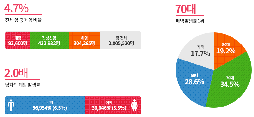 숫자와-그래프로-폐암-발병률을-표현한-사진