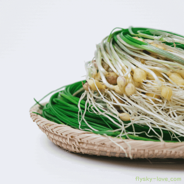 대표적인 봄나물 달래