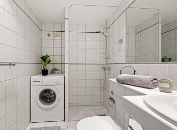 초파리는 습기가 많은 곳에서 잘 번식