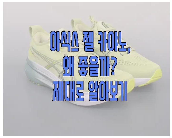 젤 카야노 31에 관한 글 보러 가기 링크 사진
